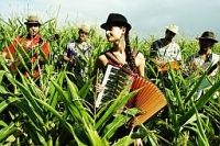 Pascuala Ilabaca y Fauna